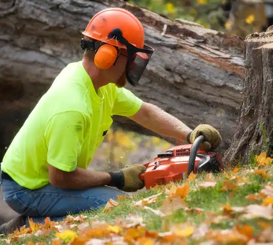 tree services New Rockford